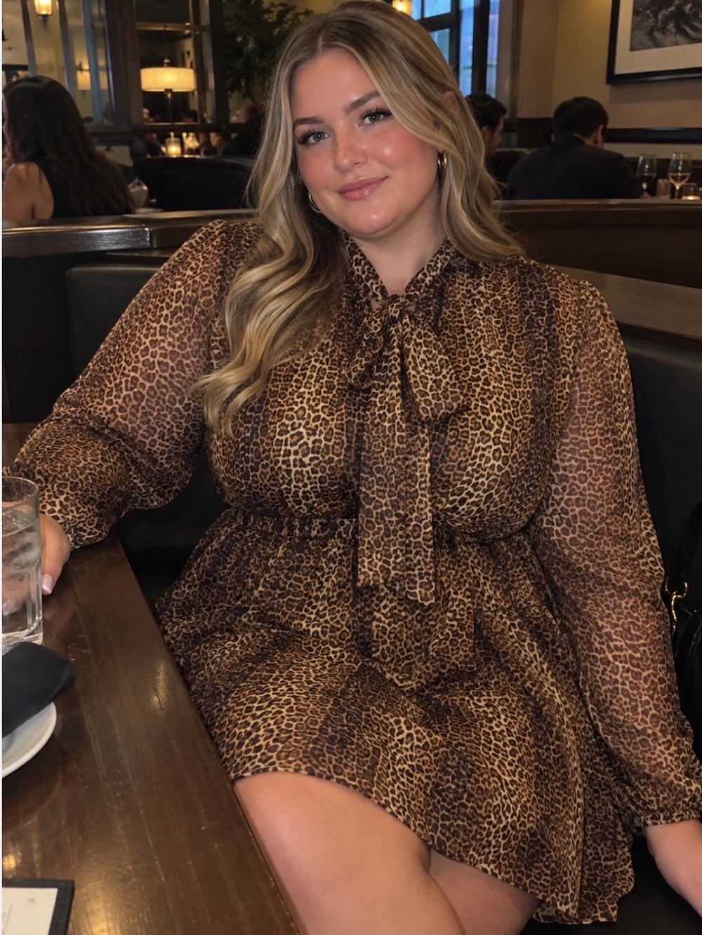 Zara Brown and Black Leopard Print Long Sleeve Dress w/floppy bow